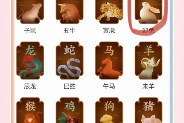 1988年2月1日属龙还是属兔_1988年二月一号什么属相 1988年2月1日属龙还是属兔_1988年二月一号什么属相