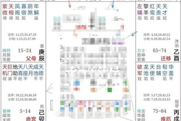 2025年2月15日丑时女命紫微斗数全解盘 2025年2月15日丑时女命紫微斗数全解盘
