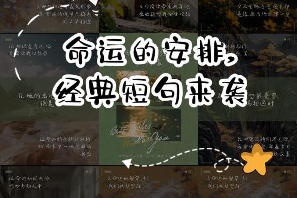 什么缘分让我们相遇揭秘命运的神奇安排 什么缘分让我们相遇揭秘命运的神奇安排