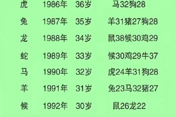 02年1月属马还是蛇_2002年1月为什么属蛇不是马 02年1月属马还是蛇_2002年1月为什么属蛇不是马