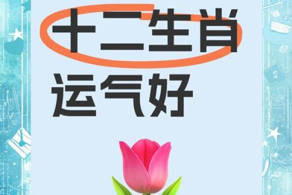 属龙的幸运色是什么颜色2025 2025年属龙幸运色揭晓全年每月开运色彩指南 属龙的幸运色是什么颜色2025 2025年属龙幸运色揭晓全年每月开运色彩指南