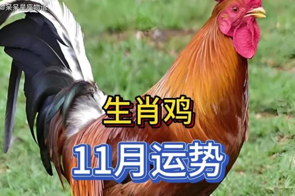 81年属鸡人在2024年的全年运势 81年属鸡人在2024年的全年运势五月初七 81年属鸡人在2024年的全年运势 81年属鸡人在2024年的全年运势五月初七