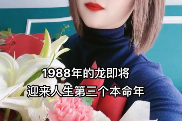 1988年属龙的今年多大_1988年属龙人2023年末龄详解今年几岁 1988年属龙的今年多大_1988年属龙人2023年末龄详解今年几岁