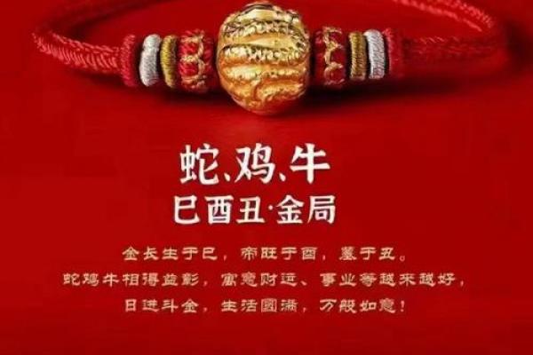 2023年兔子五行属性解析属什么运势如何