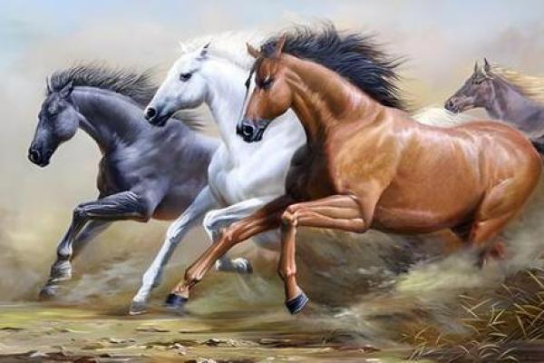 1954年属马未来5年运势_1954年属马2021年运势及运程