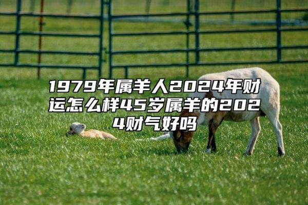 1979属羊2025运势_79年羊2025年运势 1979属羊2025运势_79年羊2025年运势