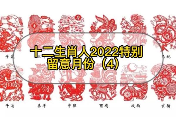 2022什么生肖年 2022什么生肖年