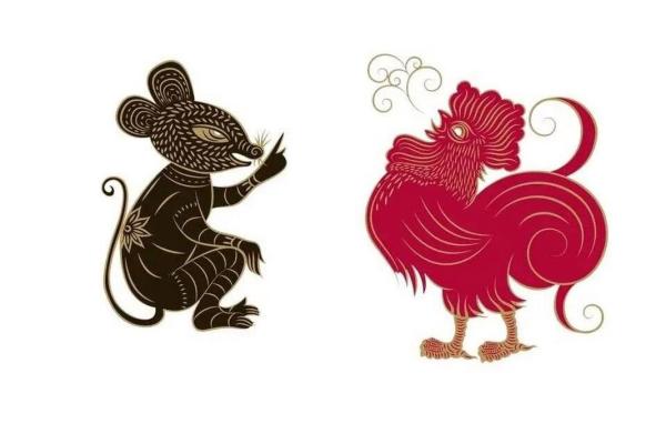 2025年属鸡的幸运颜色_属鼠人2025年幸运色是什么颜色