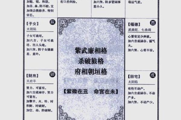 2025年3月6日丑时男命紫微斗数全解盘 2025年3月6日丑时男命紫微斗数全解盘