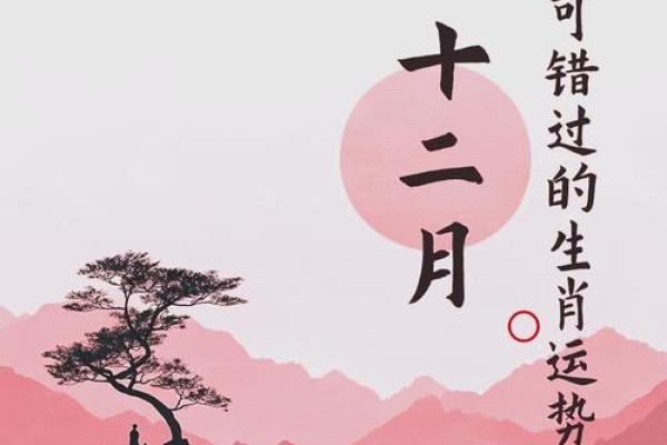 属虎的2020年运势如何