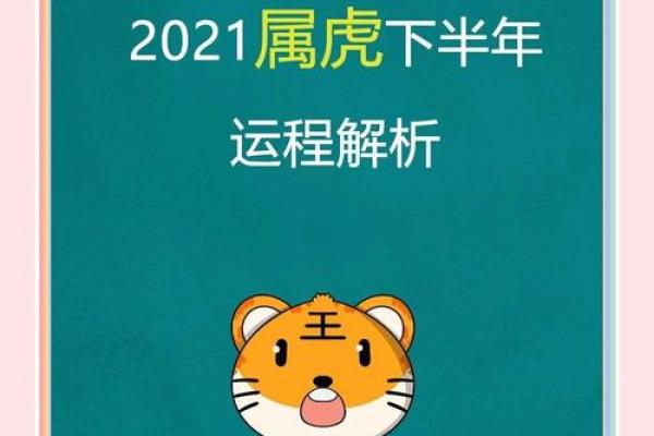 属虎的2020年运势如何