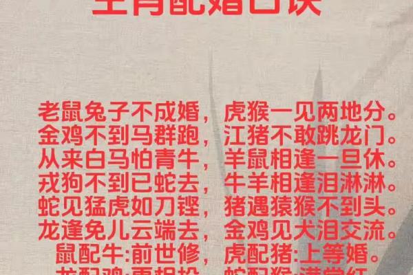 属兔与属龙的婚配如何 属兔与属龙婚配解析缘分挑战与幸福指南