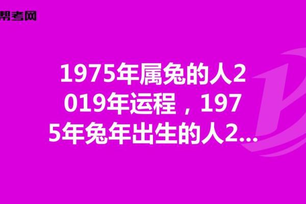 1975属兔2025年运势完整版_1975属兔2025年运势详解完整版预测与运势分析 1975属兔2025年运势完整版_1975属兔2025年运势详解完整版预测与运势分析