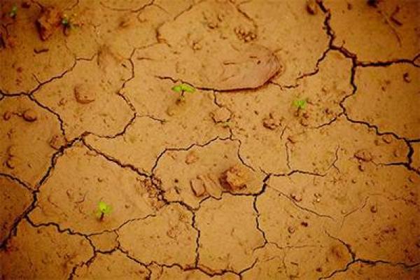 五月动土对谁不好 五月动土对谁不好