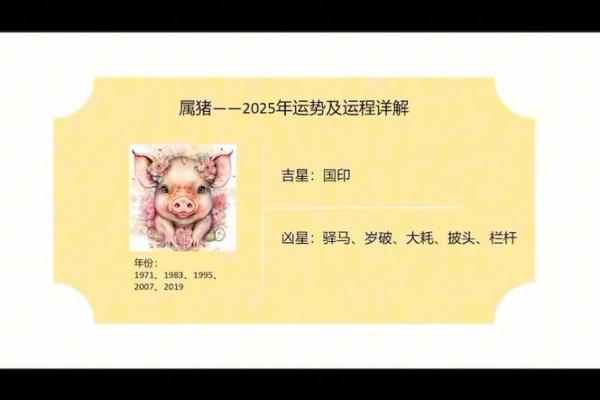 2025年属猪人需警惕的一个人运势关键点解析