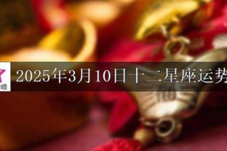 2025年3月20日丑时女命紫微斗数全解盘