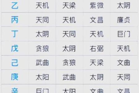 2025年3月8日子时男命紫微斗数全解盘