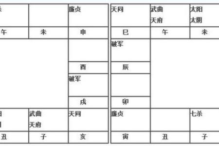 2025年2月25日寅时男命紫微斗数全解盘
