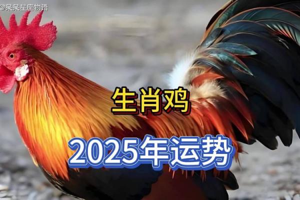 2025年属鸡人全年每月运势农历网_2025年属鸡人的全年每月运势 2025年属鸡人全年每月运势农历网_2025年属鸡人的全年每月运势