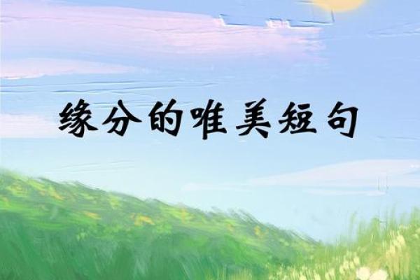 缘分的分是什么意思_缘分中的分 缘分的分是什么意思_缘分中的分