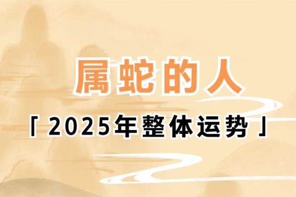 属龙的蛇年运势2025年运程_属龙人2025年全年运势详解 属龙的蛇年运势2025年运程_属龙人2025年全年运势详解