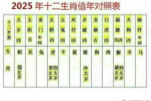 2025属猪要戴吴遂大将军吗_83年属猪人42岁过七劫
