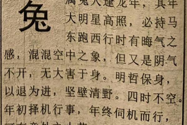 兔人2025年全年的运程和运势_属兔的运势2025年运程 兔人2025年全年的运程和运势_属兔的运势2025年运程