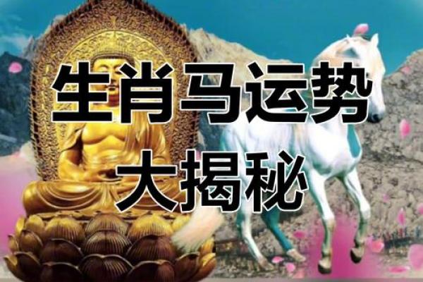 属马的2022年运势和财运怎么样