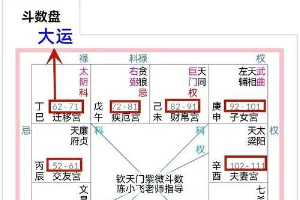 2025年3月19日子时男命紫微斗数全解盘 2025年3月19日子时男命紫微斗数全解盘