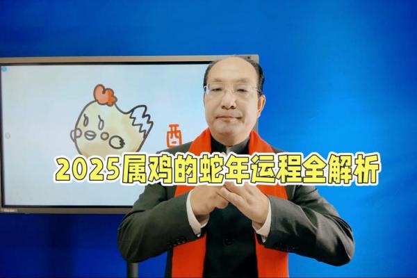属鸡在2025蛇年的运气_属鸡2025的特大贵人 属鸡在2025蛇年的运气_属鸡2025的特大贵人