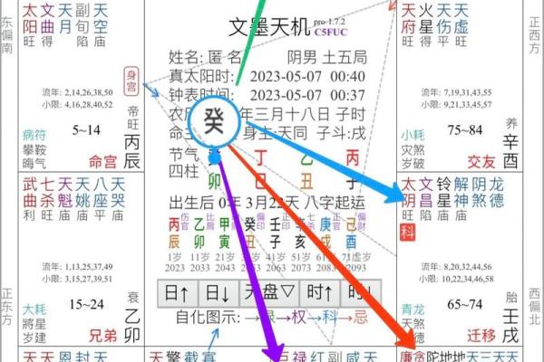 2025年3月28日丑时男命紫微斗数全解盘 2025年3月28日丑时男命紫微斗数全解盘
