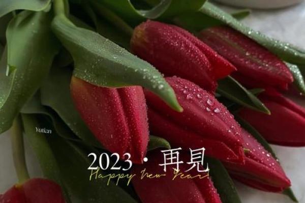 2023年最后一天文案短句 2023年最后一天文案短句