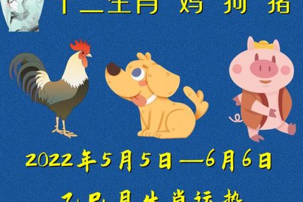 19年1月21属猪还是属狗_19年11月属猪的是什么命