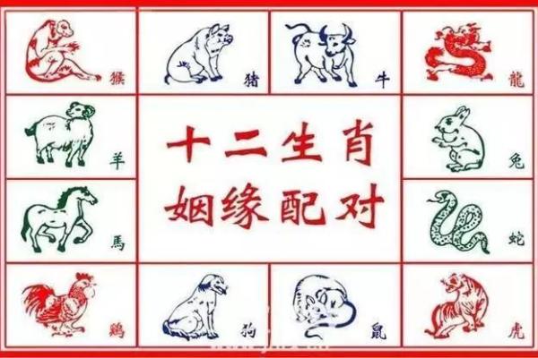 属兔跟属龙的姻缘怎么样 属兔与属龙姻缘解析相配指数与婚姻运势 属兔跟属龙的姻缘怎么样 属兔与属龙姻缘解析相配指数与婚姻运势
