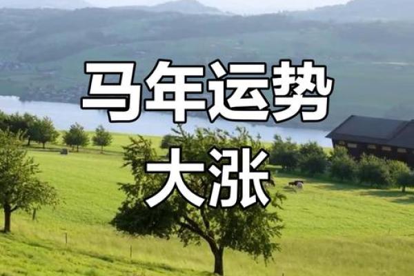 属马人今天的运势和财运_属马人今天的运势和财运十二星座 属马人今天的运势和财运_属马人今天的运势和财运十二星座