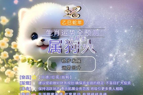 属狗的2025多大了_2025年属狗的多大