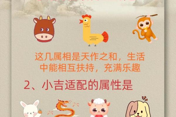 2013年1月是属龙还是蛇 2013年元月生肖归属解析属龙还是属蛇