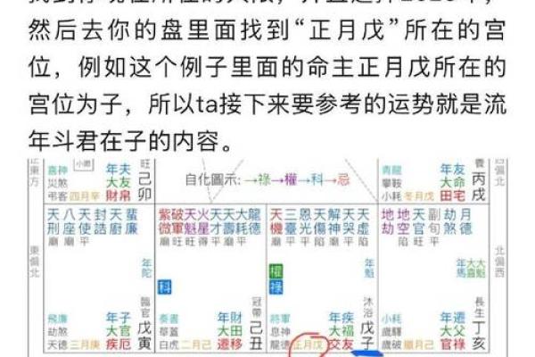 2025年3月7日丑时男命紫微斗数全解盘 2025年3月7日丑时男命紫微斗数全解盘