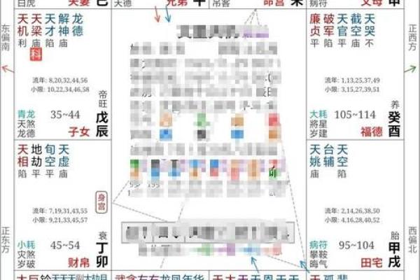 2025年2月20日子时女命紫微斗数全解盘 2025年2月20日子时女命紫微斗数全解盘