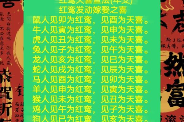 95年属猪八字姻缘_95年属猪八字姻缘运势