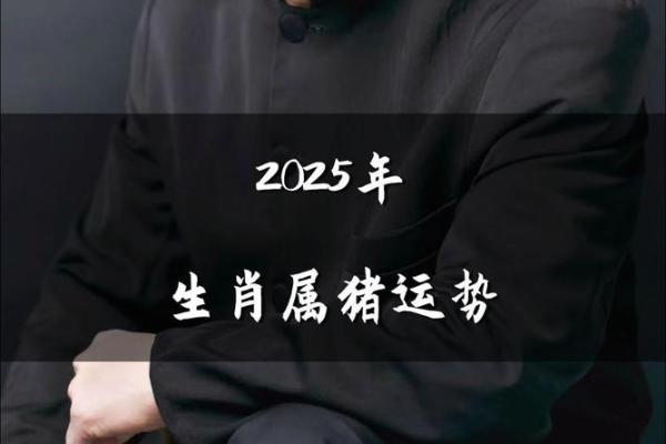 2025属猪人的全年运势如何1971 2025属猪人的全年运势如何宋韶光 2025属猪人的全年运势如何1971 2025属猪人的全年运势如何宋韶光