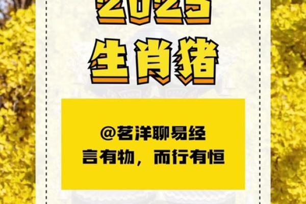 属猪人2025年全年运势详解及每月运程预测 属猪人2025年全年运势详解及每月运程预测