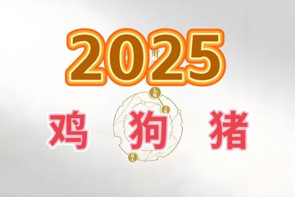 2025属鸡的运势和财运1981年_属鸡2025的特大贵人 2025属鸡的运势和财运1981年_属鸡2025的特大贵人