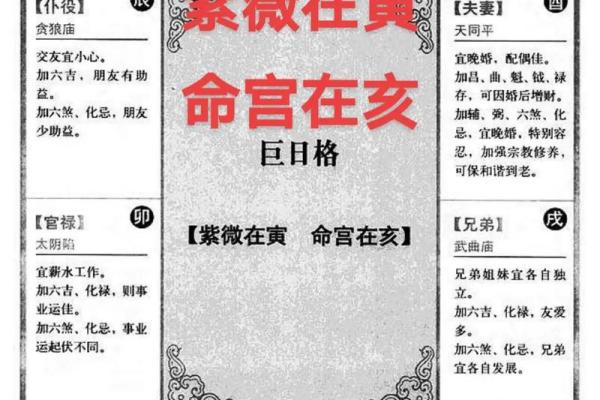 2025年2月24日寅时男命紫微斗数全解盘 2025年2月24日寅时男命紫微斗数全解盘