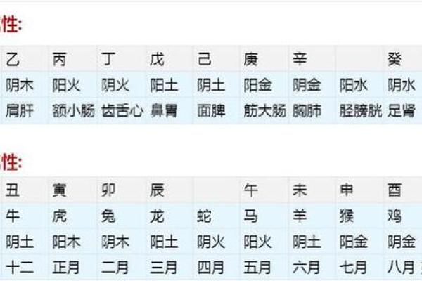生辰八字天干地支查询_生辰八字天干地支查询精准测算命运与运势 生辰八字天干地支查询_生辰八字天干地支查询精准测算命运与运势