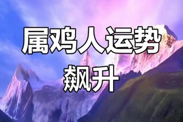 69年属鸡人今日财运解析吉凶如何