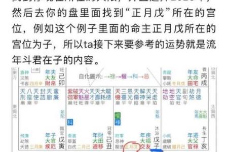 2025年3月15日丑时男命紫微斗数全解盘