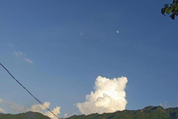 白云苍狗打一个生肖(白云苍狗猜一生肖)