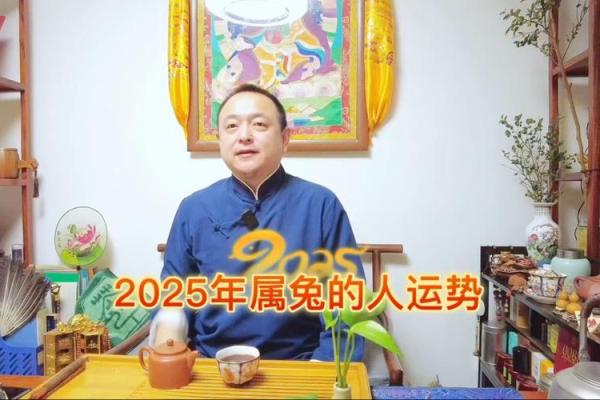 属兔女2025年全年运势运程_属兔女2025年运势详解全年运程大揭秘