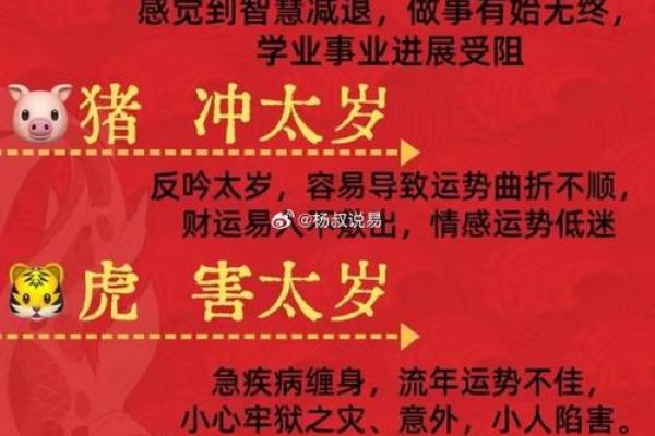 东宫辅助是什么生肖(东宫辅助是什么生肖)